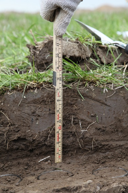En linjal som visar en jordprofil av de översta 20 cm i en åkermarksjord.