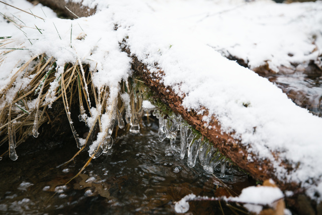 Närbild på vattendrag och snöbeklädd gren.