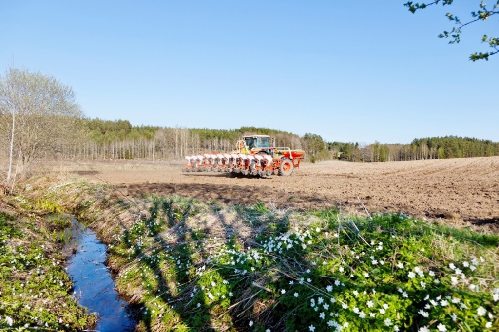 Bilden visar en traktor på en åker och vitsippor som blommar vid åkerns kant. 